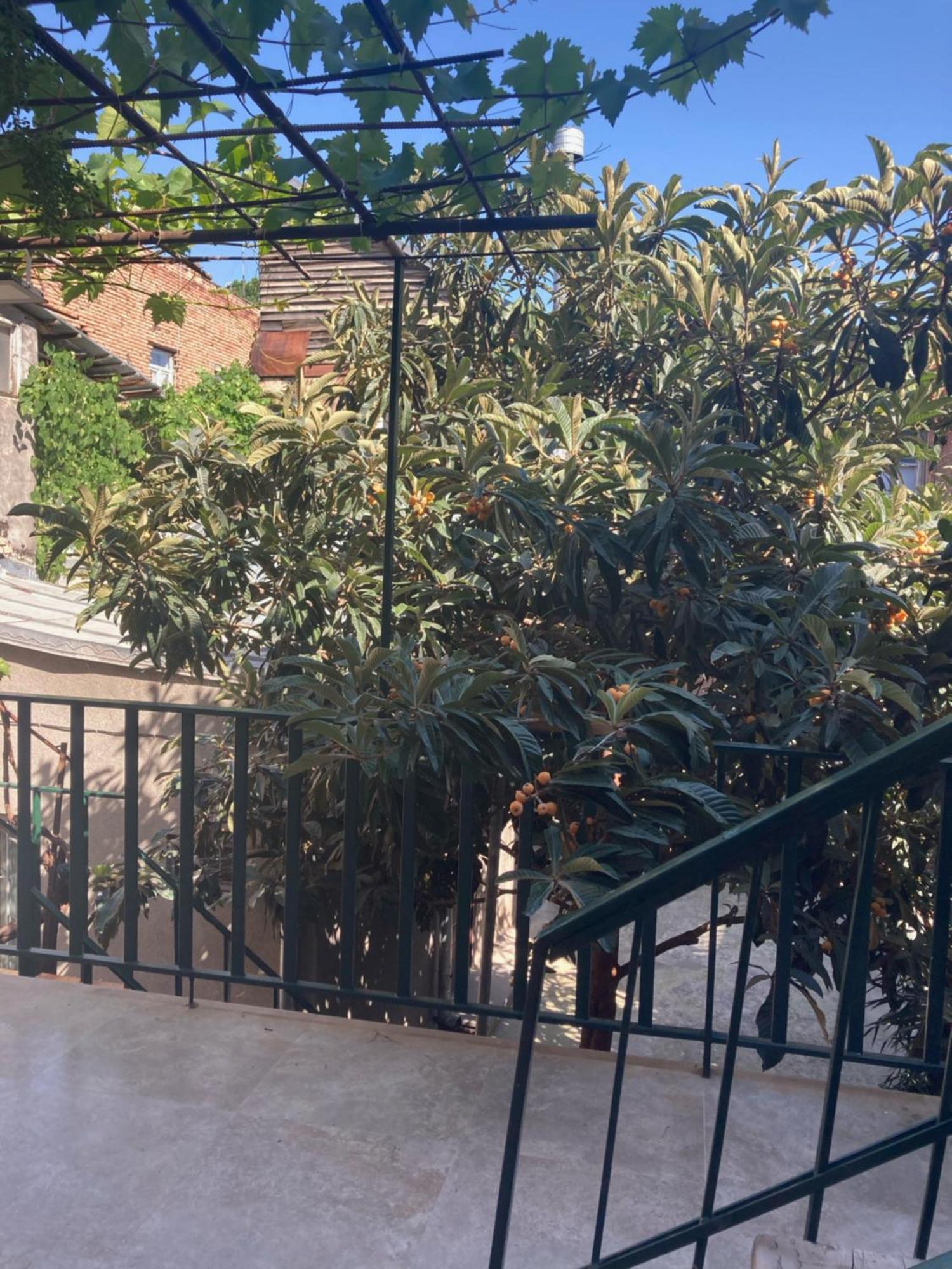 Historic Apartments "1868 Tbilisi" Best Location Ngoại thất bức ảnh